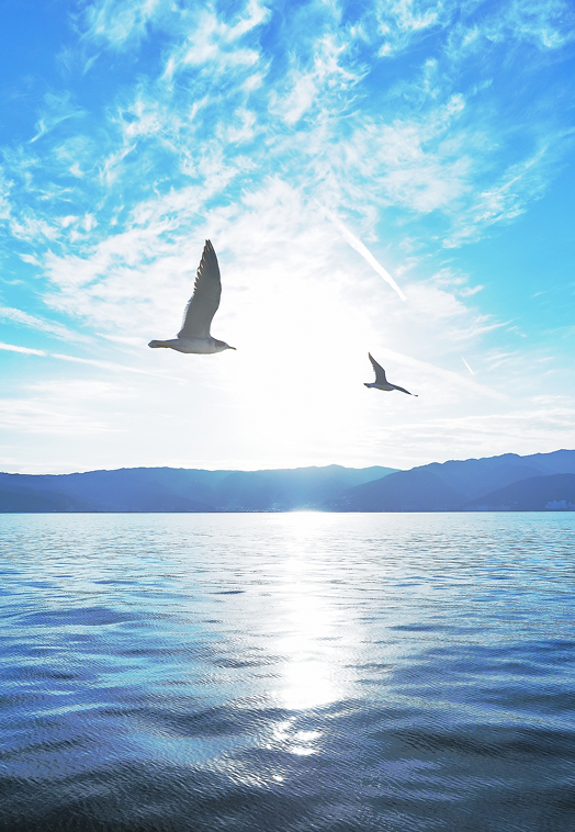 三洋海運について